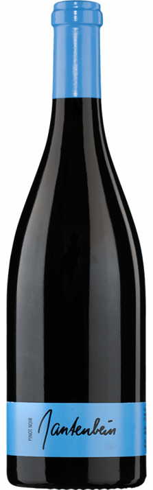 Gantenbein Fläscher Pinot Noir 2020 0,75L